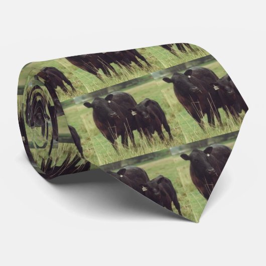 Cravate de vache (Roulé)