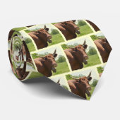 Cravate de vache à Salers (Roulé)