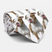 Cravate de Valentino (Roulé)