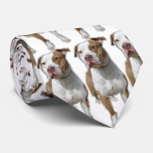 Cravate de Valentino (Roulé)