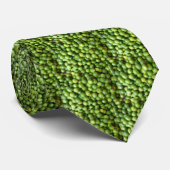 cravate de vert de chaux (Roulé)
