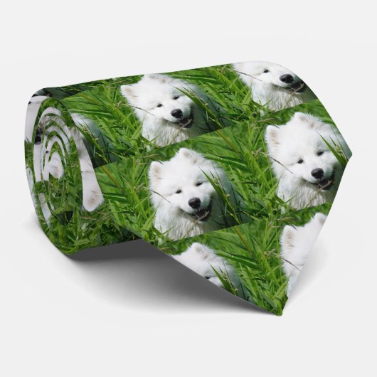 Cravate de visage de Samoyed (Roulé)