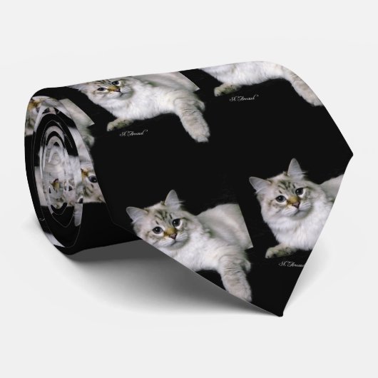 Cravate de Zareka (Roulé)