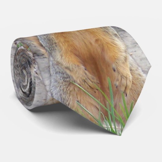 Cravate d'écureuil (Roulé)