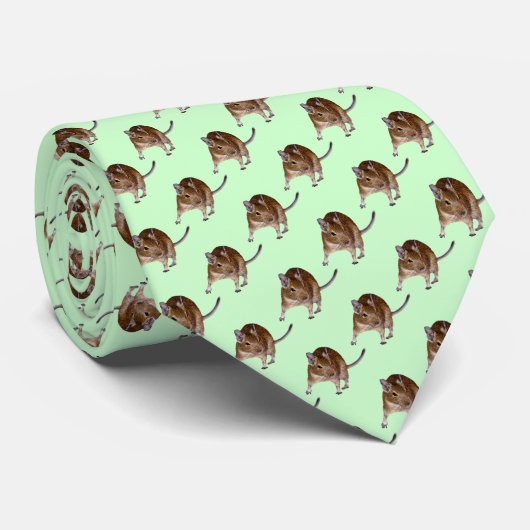 Cravate Degu Frenzy Tie (Vert clair) (Roulé)