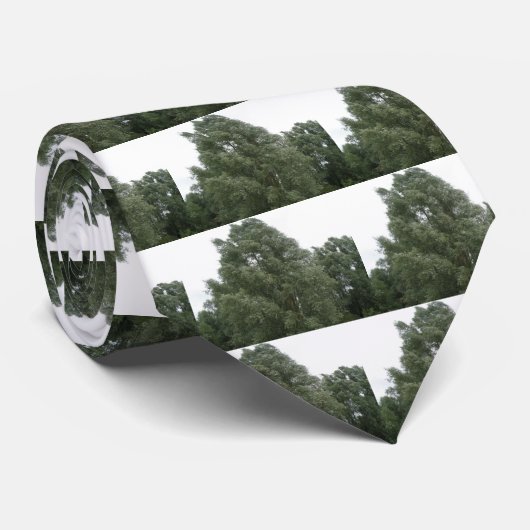 Cravate des arbres (Roulé)