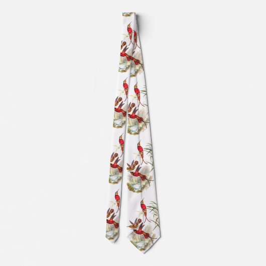 cravate des colibris vintages (Dos)