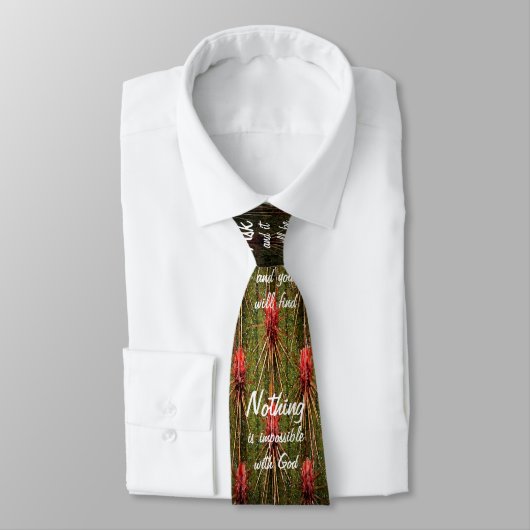 Cravate des écritures (Attaché)