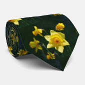 Cravate des jonquilles éclairées (Roulé)