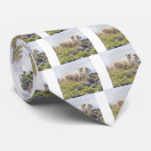 Cravate des moutons (Roulé)