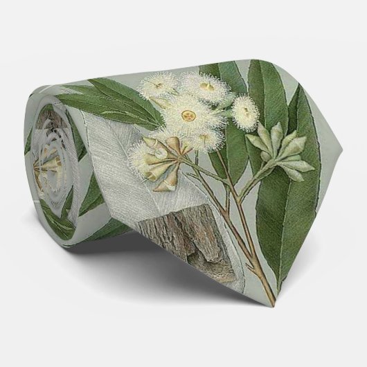 Cravate d'eucalyptus (Roulé)