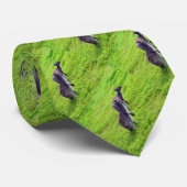 Cravate Deux Kangaroos Australiens Sur L'Herbe Verte, (Roulé)