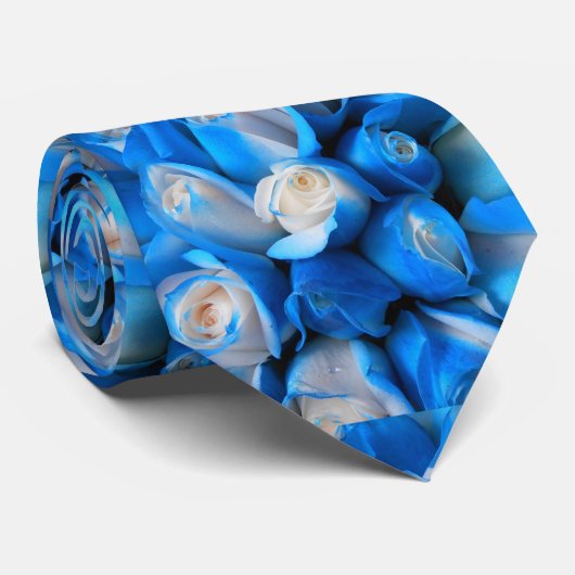 Cravate Diemudis (Roulé)