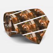 Cravate Dingo australien (Roulé)
