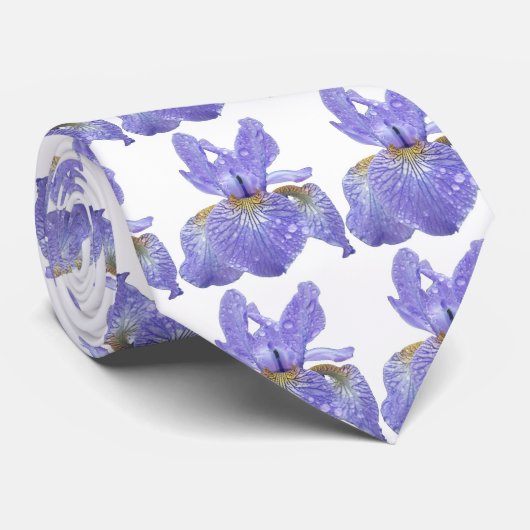 Cravate d'iris (Roulé)