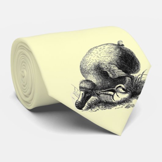 Cravate d'oiseau de dronte (Roulé)