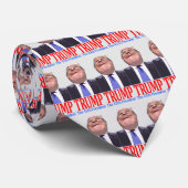 Cravate Donald Trump, quarante-cinquième président (Roulé)
