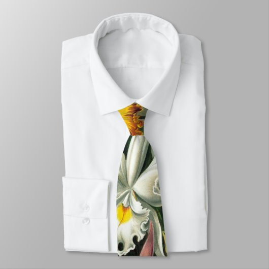 Cravate d'orchidée (Attaché)