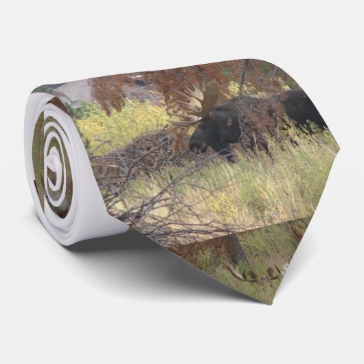 Cravate d'orignaux (Roulé)