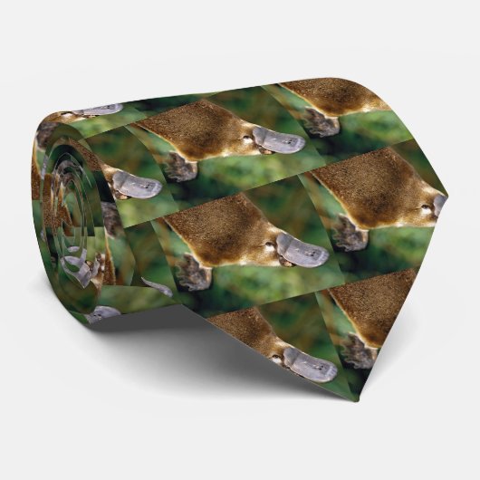 cravate d'ornithorynque (Roulé)