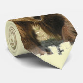 Cravate d'ours gris (Roulé)