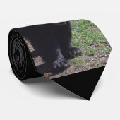 Cravate d'ours noir (Roulé)