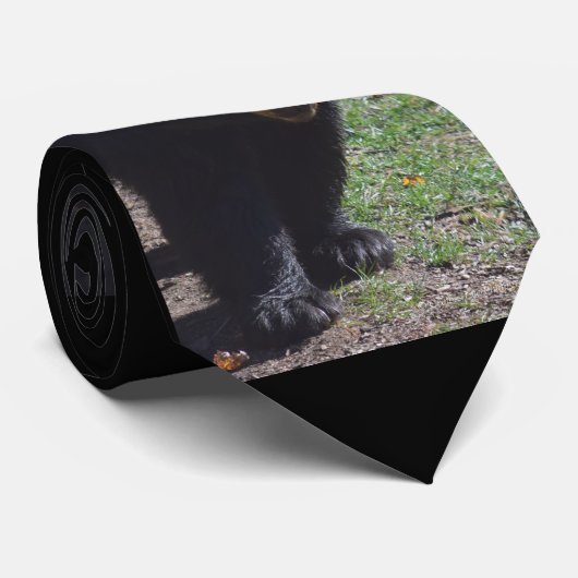 Cravate d'ours noir (Roulé)