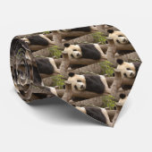 Cravate d'ours panda (Roulé)