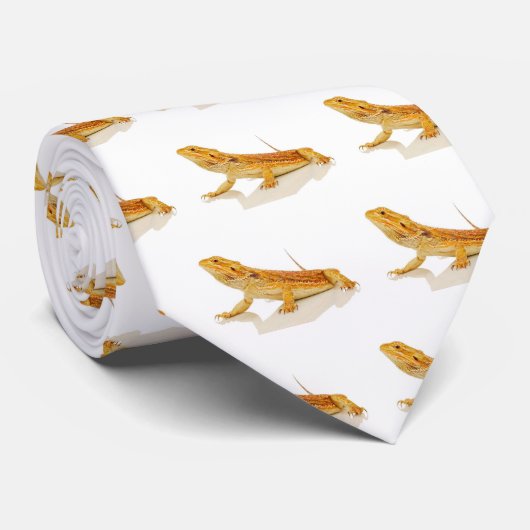 Cravate Dragon barbu (Roulé)