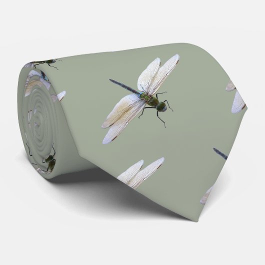 Cravate Dragonfly (Roulé)
