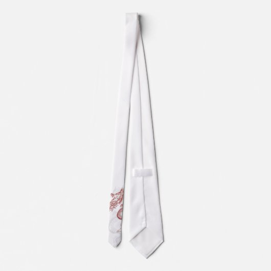 Cravate Dragons (Dos)