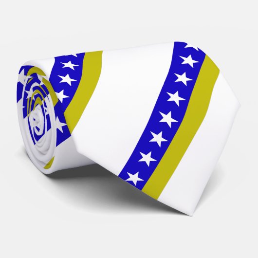 Cravate Drapeau bosnien (Roulé)