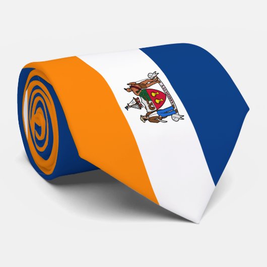 Cravate Drapeau d'Albany (New York) (Roulé)