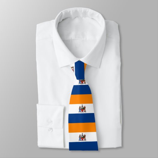 Cravate Drapeau d'Albany, New York (Attaché)