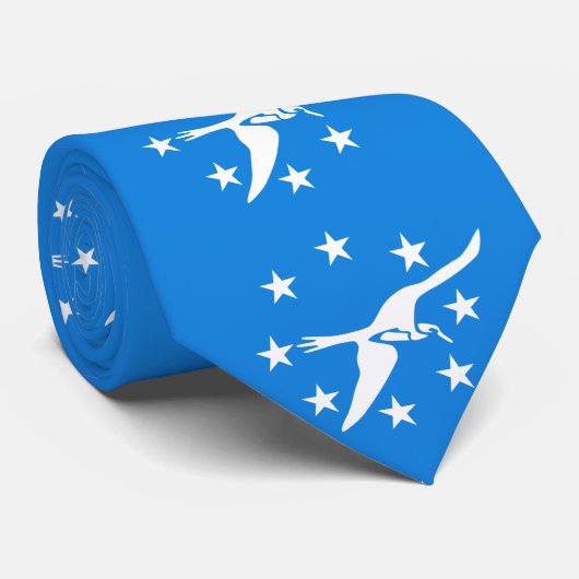 Cravate Drapeau de Corpus Christi, Texas (Roulé)