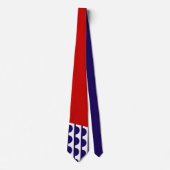 Cravate Drapeau de Des Moines (Iowa City) (Devant)