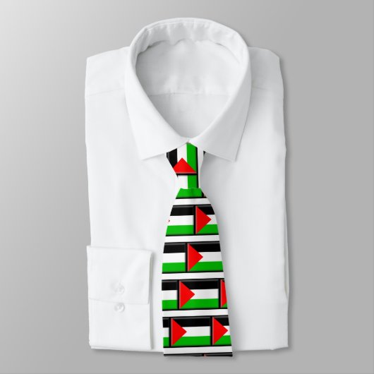 Cravate Drapeau de la Palestine (Attaché)
