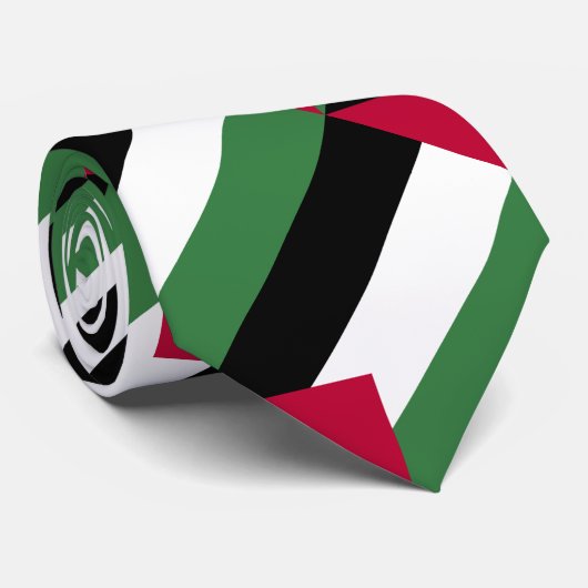 Cravate Drapeau de la Palestine (Roulé)