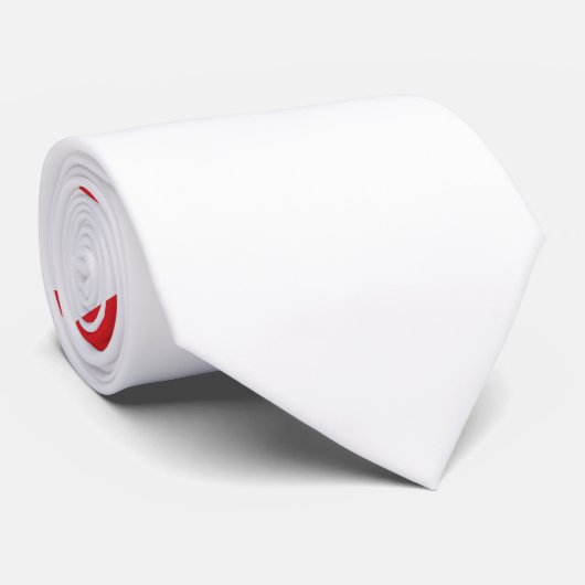 Cravate Drapeau de l'État de Floride (Roulé)