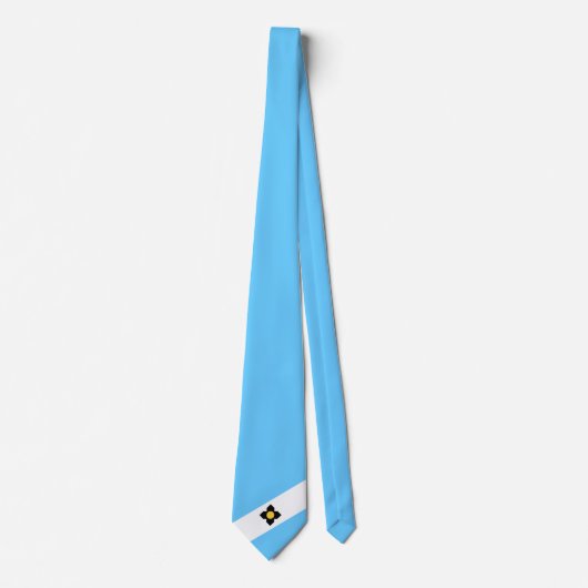 Cravate Drapeau de Madison (Wisconsin) (Devant)