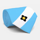 Cravate Drapeau de Madison (Wisconsin) (Roulé)