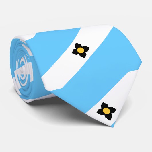 Cravate Drapeau de Madison, Wisconsin (Roulé)