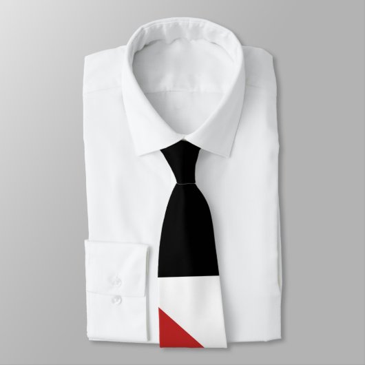 Cravate Drapeau de Palestine (Attaché)