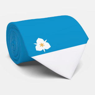 Cravate Drapeau de Salt Lake City (Utah)