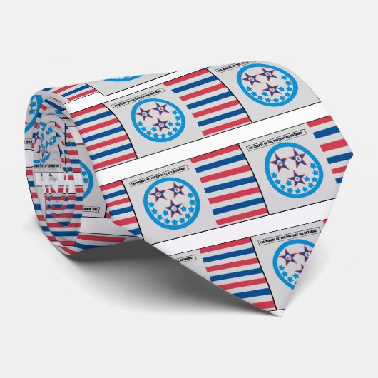 Cravate Drapeau de secession employé par la Floride - 10 (Roulé)