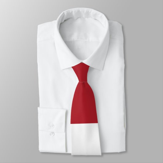 Cravate Drapeau des Pays-Bas (Attaché)