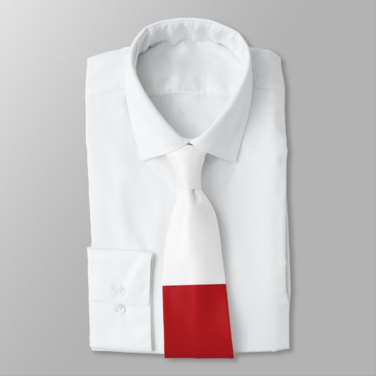 Cravate Drapeau d'Oman (Attaché)