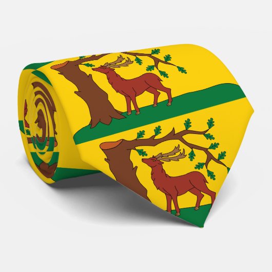 Cravate Drapeau du comté historique du Berkshire Col crava (Roulé)