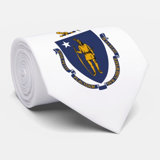 Cravate Drapeau du Massachusetts (Roulé)