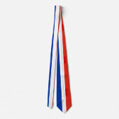 Cravate drapeau français (Dos)